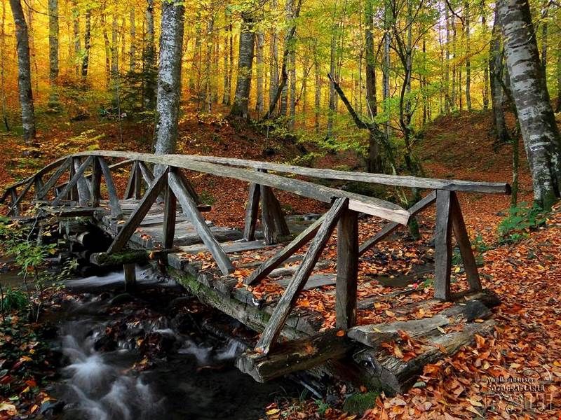 1d109-YEDIGOLLER-BOLU-2 Yedigöller Milli Parkı’nda Kamp: Doğayla İç İçe Huzurlu Bir Kaçış Rehberi